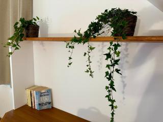 Domaine de Couilleuse - 3