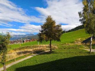 Studio lumineux · Ski aux pieds · Balcon privé - FR-1-181-2454 - Aime-la-Plagne - 2