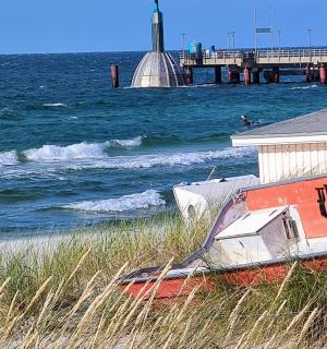 Haus Nadine - Zingst - 7