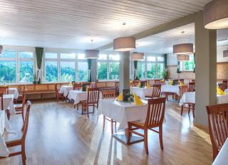 JUFA Hotel Bad Aussee - 4
