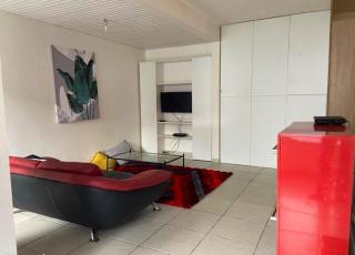 Studio charmant à Fort-de-France avec jardin privatif de 40m² - Fort-de-France - 0