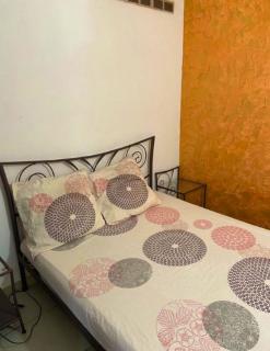 Studio charmant à Fort-de-France avec jardin privatif de 40m² - Fort-de-France - 4