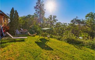 Pet Friendly Home In Zeulenroda-Triebes - Stelzendorf - 4