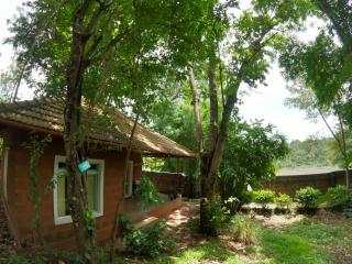 Thennal Junglecamp - Wayanad - 7
