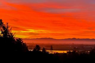 Laguna Overlook - Sebastopol - 9