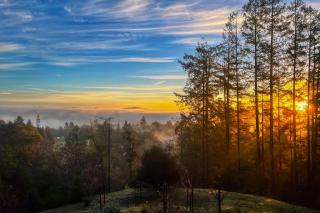 Laguna Overlook - Sebastopol - 8