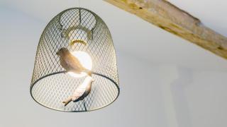 Cockleshell Cottage - 7