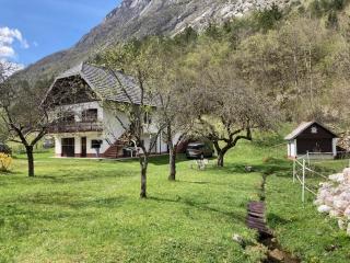 Roja House - Soča - 0