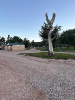 Black Hills Station - Piedmont - 2