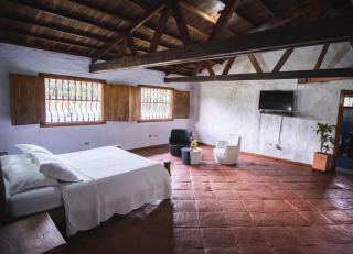 FINCA PUNTA PALMA - Armenia - 5