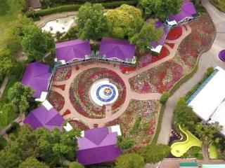 Unique Garden - 1