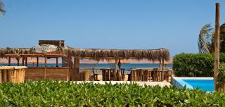Bamboo Paracas Hotel - Paracas - 6