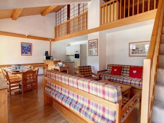 Duplex spacieux aux pieds des pistes avec parking et balcon - FR-1-344-732 - Saint-Martin-de-Belleville - 8