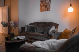 Historical City Center Apartment Zalgiris Arena - Kaunas - 7