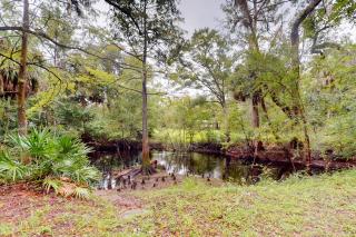 Waccasassa Wonder - Morriston - 3