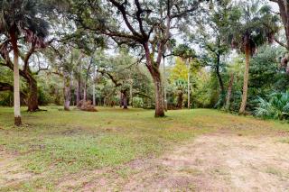 Waccasassa Wonder - 2