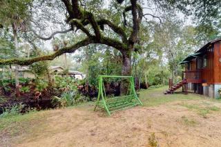 Waccasassa Wonder - Morriston - 4