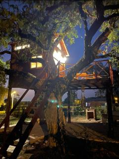 Haasienda - Nido del Loro - Casa de Arbol - - 1