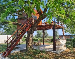 Haasienda - Nido del Loro - Casa de Arbol - - 9