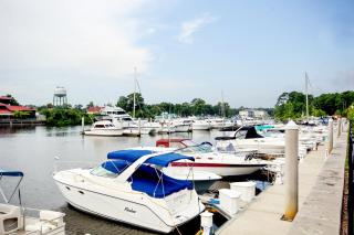Catalina Cove - North Myrtle Beach - 5