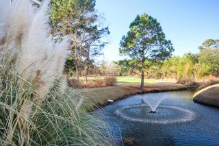 Catalina Cove - North Myrtle Beach - 2