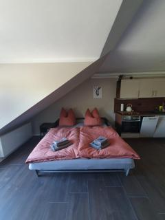 Neumühler Hof- Ferienwohnung "Benjamin" mit großer Privater Dachterasse und guter Anbindung in die City - Schwerin - 6