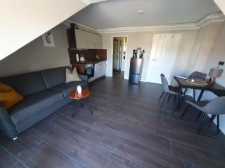 Neumühler Hof- Ferienwohnung "Benjamin" mit großer Privater Dachterasse und guter Anbindung in die City - Schwerin - 1