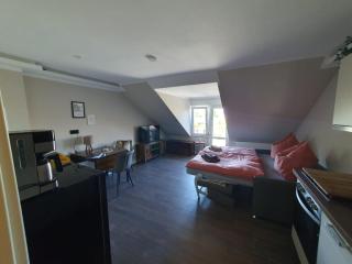 Neumühler Hof- Ferienwohnung "Benjamin" mit großer Privater Dachterasse und guter Anbindung in die City - Schwerin - 5