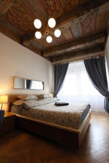 At the Blue Lion & Parking Assistance - Praga - 4