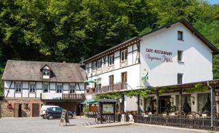 Landhotel Ringelsteiner Mühle - Moselkern - 0