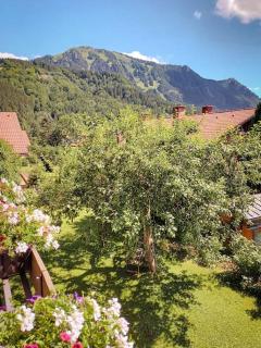 Ferienwohnung am Grünten - Barbaras Apartment - Rettenberg - 9