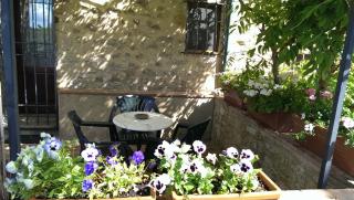 Agriturismo Apparita - Montecastelli Pisano - 8