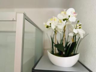 Superbe appartement En baie de Somme - Cayeux-sur-Mer - 1