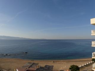 Magnifique F3 les pieds dans l'eau. - Ajaccio - 4