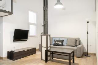 Precioso apartamento La Latina-Rastro ARN - Madrid - 4