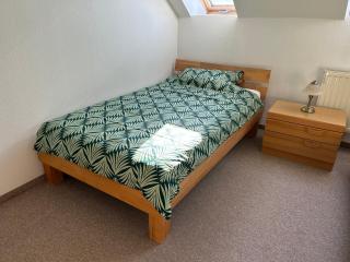 Monteurwohnung nahe der Talsperre Pöhl im Vogtland - 9