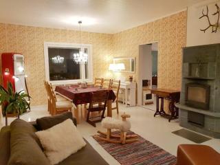 Atmospheric Lapland Villa - Magical River View - 8