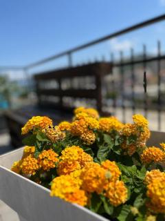 Sapore di mare casa vacanze - Agropoli - 9