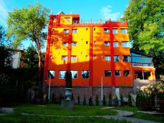 Casa Nicoli - Băile Olăneşti - 3