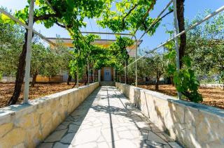 Apartments Ivana - Trogir - 9