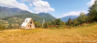 GREEN GUNDAURI - Keda - 5