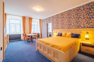 Hotel Orličan - Rokytnice v Orlických Horách - 8