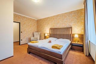 Hotel Orličan - Rokytnice v Orlických Horách - 9