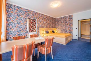 Hotel Orličan - Rokytnice v Orlických Horách - 7