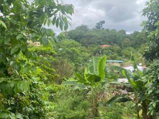 La Reina del Mar - 7