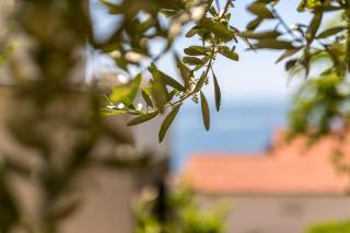 Apartment Baska Voda 301a - Baška Voda - 4