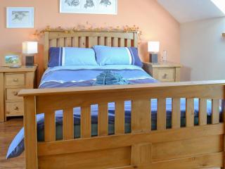 Hen Dy Goits - Llangadwaladr - 9