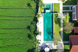Villa Manis Canggu - Canggu - 8