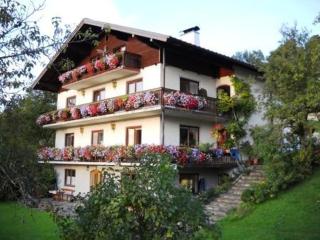 Attersee-Chalet Angermann Familie Spalt - 9