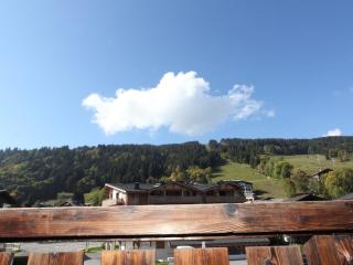 Studio confortable pour 4 pers avec Wi-Fi, proche pistes et centre Les Gets - FR-1-671-46 - 6